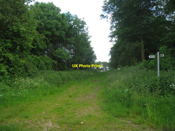 Photo 6"x4" Field entrance at Girsby Top Girsby\/TF2187 c2012