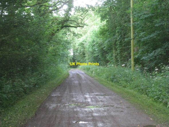 Photo 6"x4" Mill Lane, Burgh on Bain Burgh on Bain c2012