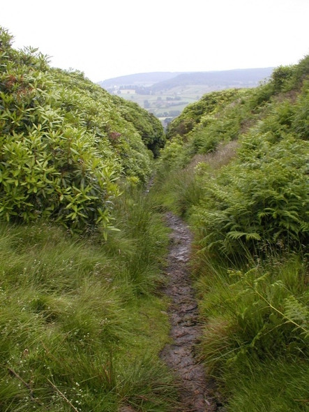 Photo 6"x4" Bridleway From Steeple Cross Kepwick c2008