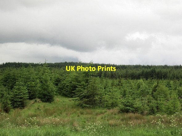 Photo 6"x4" A thunderstorm over Camilty Harburn\/NT0461 c2012