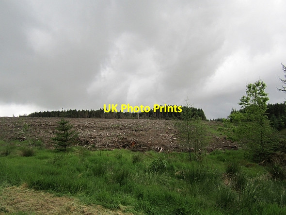 Photo 6"x4" Clear felled area, Camilty Harburn\/NT0461 c2012
