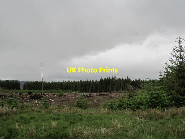 Photo 6"x4" Clear felled area, Camilty Harburn\/NT0461 c2012