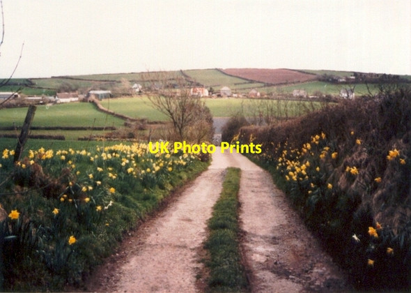 Photo 6"x4" Track near Lower Worthygate Buck's Mills c1985