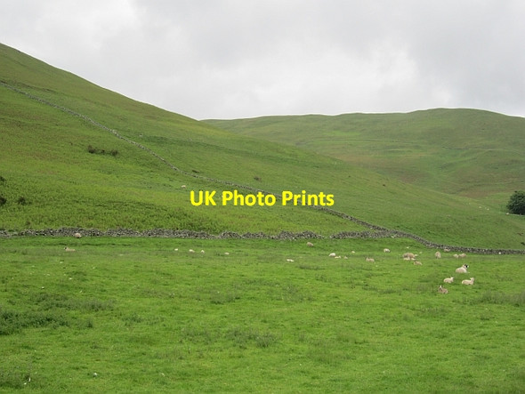Photo 6"x4" Dykes in Glen Devon Glendevon\/NN9904 c2012