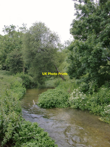 Photo 6"x4" The River Ebble at Coombe Bissett (2): the view upstream Coombe Bissett c2012