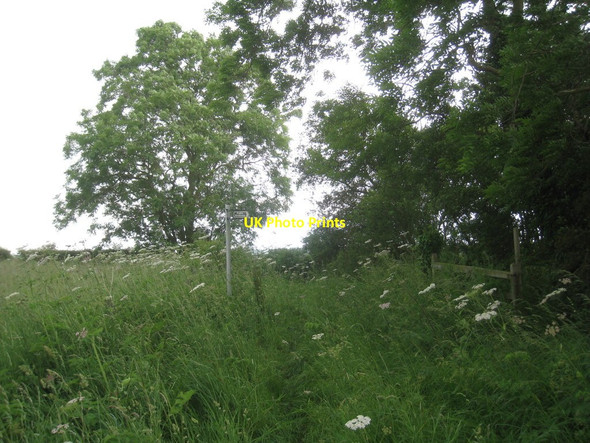 Photo 6"x4" The bridleway to Stragglethorpe Stragglethorpe\/SK9152 c2012