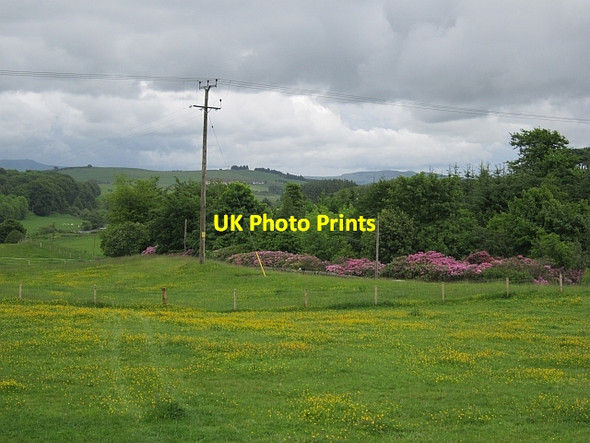 Photo 6"x4" Field, Yetts o' Muckhart Yetts o' Muckhart c2012