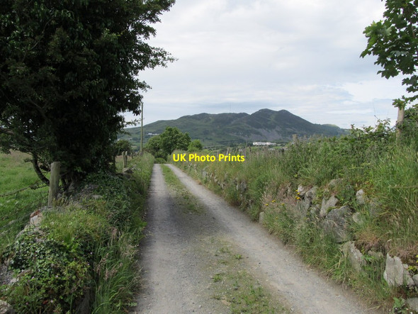 Photo 6"x4" View west along track used as part of the Ring of Gullion Way Forkhill c2012