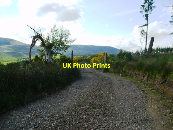 Photo 6"x4" Gate on track Dykehead\/NO3860 c2012