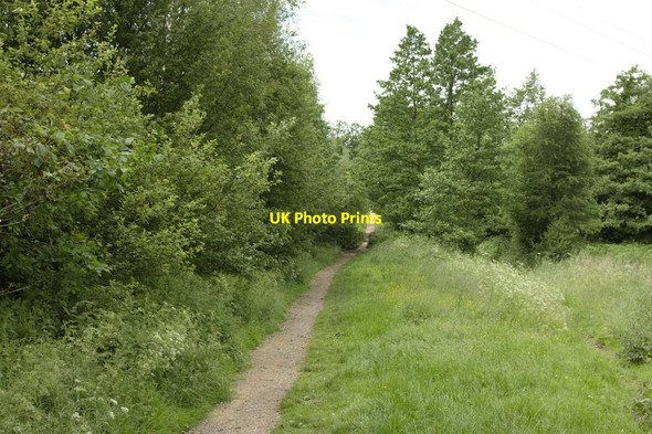 Photo 6"x4" Bridleway Approaching River Skell Ripon c2012