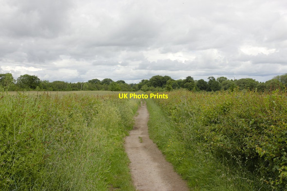 Photo 6"x4" Footpath to Ripon Ripon c2012