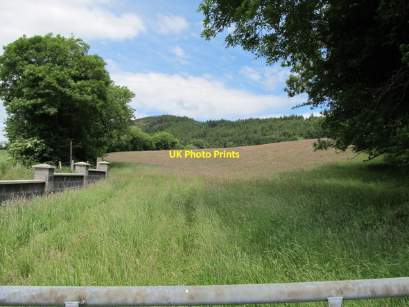 Photo 6"x4" View across farm land towards the forested Tievecrom Mountain Forkhill c2012