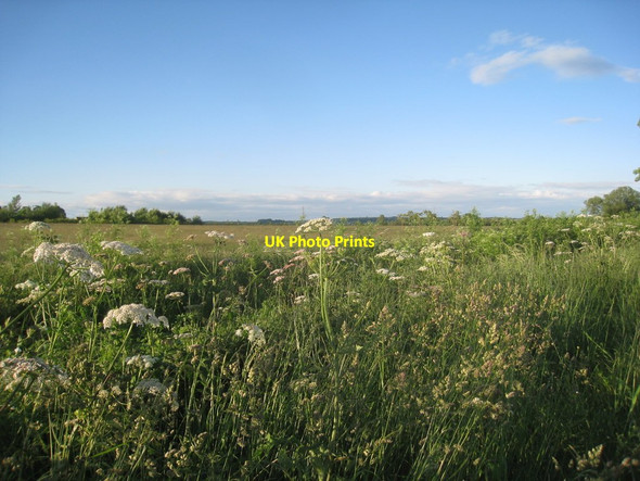 Photo 6"x4" View towards Brandicarr Howsham\/TA0404 c2012