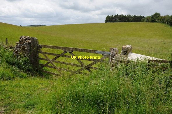 Photo 6"x4" Gate into a field Calcot\/SP0810 c2012