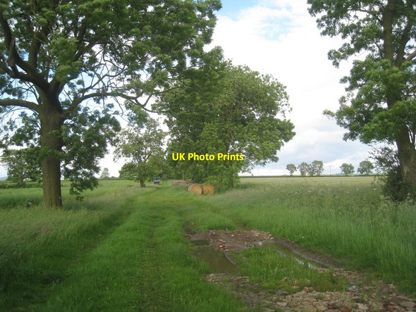 Photo 6"x4" North End Lane, South Kelsey North End\/TF0499 c2012