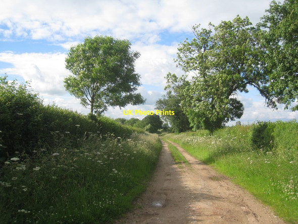 Photo 6"x4" Track off North End Lane, South Kelsey North End\/TF0499 c2012