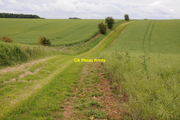 Photo 6"x4" Cotswold headland Ablington\/SP1007 c2012
