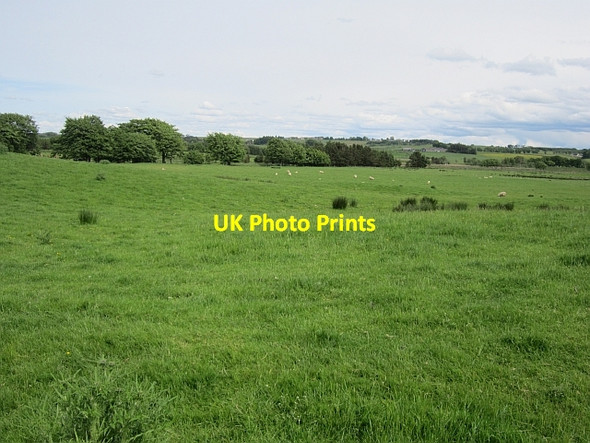 Photo 6"x4" Grassland beside the Through Burn Forth\/NS9453 c2012
