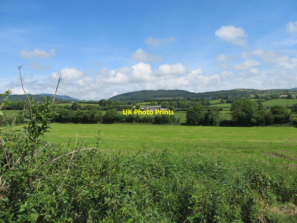 Photo 6"x4" Farmland on the north-eastern side of Carrickasticken Road Faughart Upper c2012