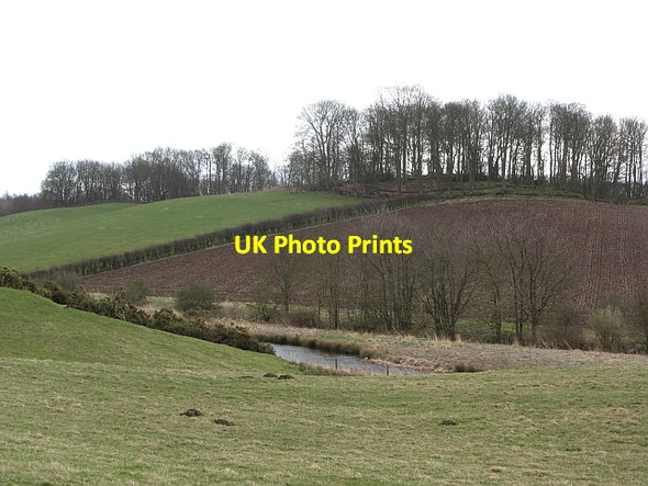 Photo 6"x4" Pond, Raith Newliston\/NT2592 c2012