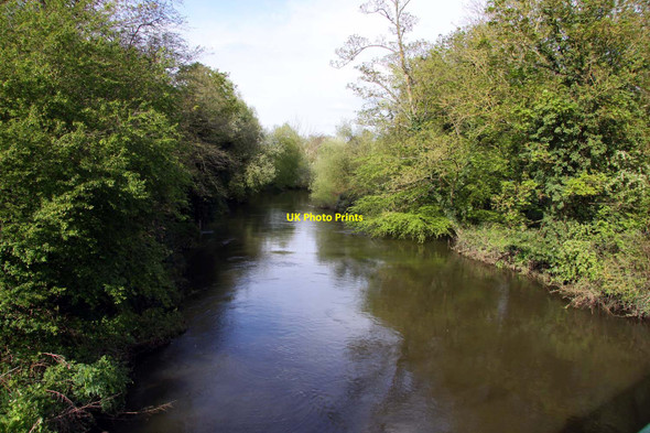 Photo 6"x4" The River Loddon looking downstream Arborfield c2012