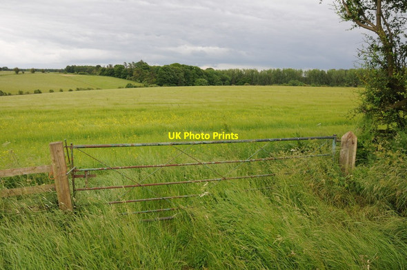 Photo 6"x4" Farmland near Eastington Northleach c2012