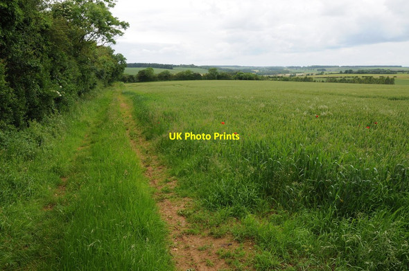 Photo 6"x4" Headland and field of wheat Clapton-on-the-Hill c2012