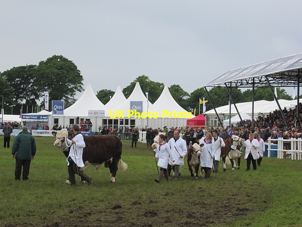 Photo 6"x4" Main ring, Highland Show Ratho Station c2012