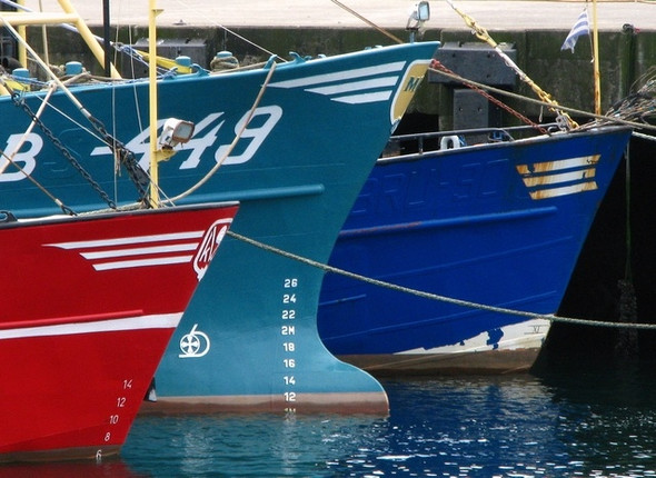 Photo 6"x4" Mussel dredgers at Bangor harbour Bangor\/J5081 c2008