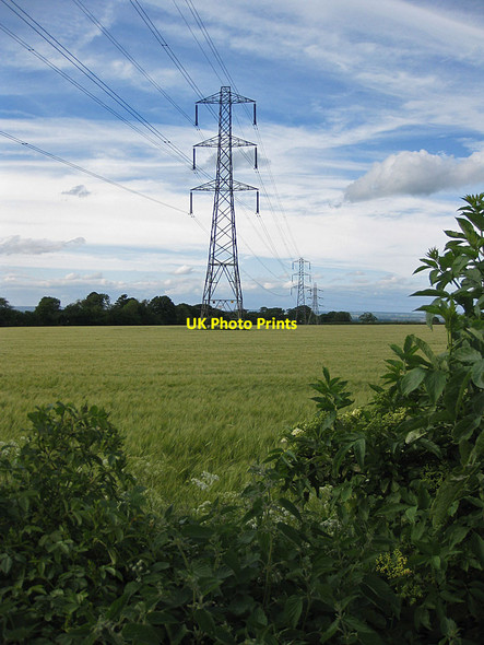 Photo 6"x4" Power line crossing a barley field Malton\/SE7871 c2012