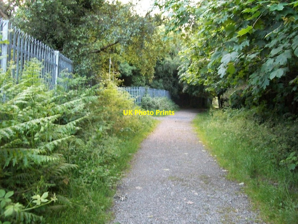 Photo 6"x4" The perimeter fence of the Newcastle Scout Campsite in Tipperary Lane Newcastle\/J3732 c2012