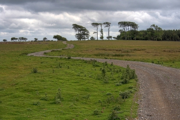 Photo 6"x4" Track, Grass Moor Gayles\/NZ1207 c2008