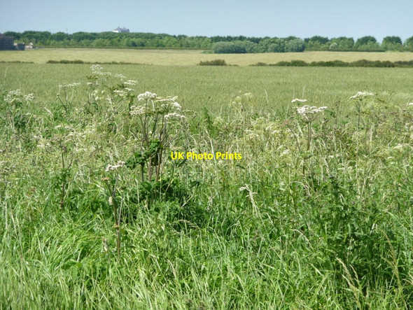Photo 6"x4" Huntow farmland Buckton\/TA1872 c2012