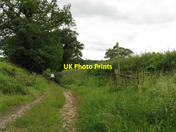 Photo 6"x4" Off for a Sunday walk Astwood\/SO9365 c2012