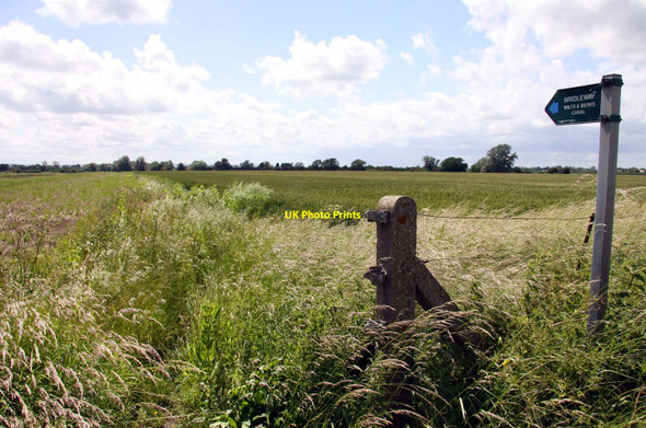 Photo 6"x4" Bridleway to the Wilts and Berks Canal Steventon\/SU4691 c2012