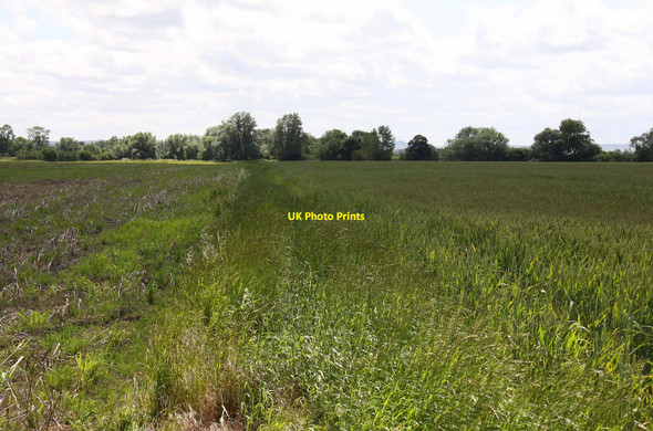 Photo 6"x4" Bridleway across Cow Common East Hanney c2012