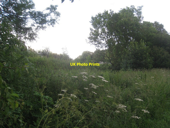Photo 6"x4" Hidden by trees (2) Rawcliffe\/SE6822 c2012