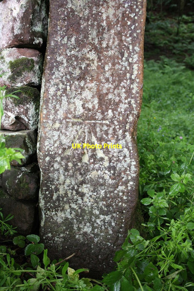 Photo 6"x4" Benchmark on gatepost, Hangingbrow Wood Longdales c2012