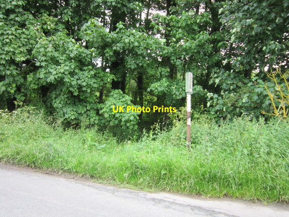 Photo 6"x4" A bridleway to Hag Lane Ampleforth c2012