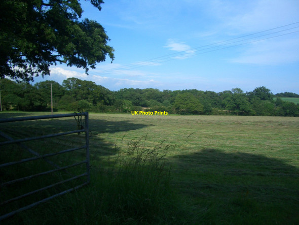 Photo 6"x4" Freshly cut grass (2) West Grinstead c2012
