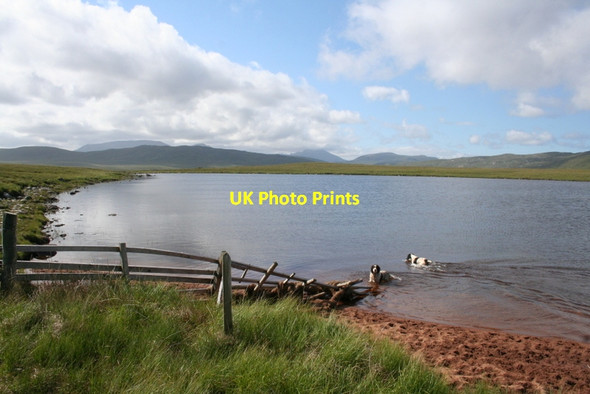 Photo 6"x4" Lochan Nam Breac Budhe Loch Inshore c2012