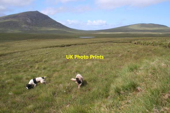 Photo 6"x4" Moorland to the east of Lochan nam Breac Buidhe Daill River c2012