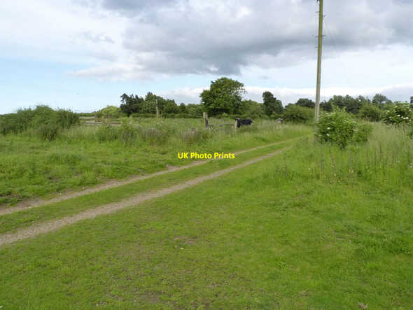 Photo 6"x4" The site of Fulsby  Tumby c2012