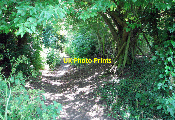 Photo 6"x4" Footpath from the River Blyth to Holy Trinity church Blythburgh c2012