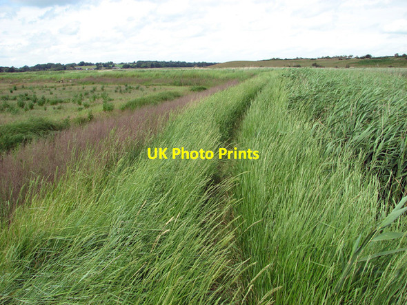 Photo 6"x4" Narrow path along the River Blyth Blythburgh c2012
