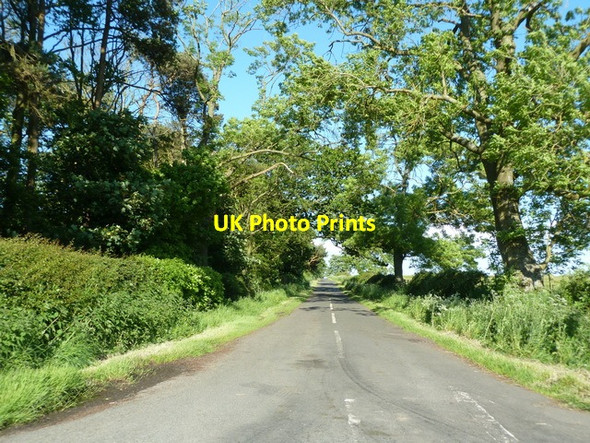 Photo 6"x4" Road to Milbourne Black Heddon\/NZ0776 c2012