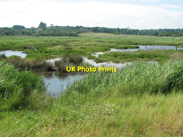 Photo 6"x4" Marshes between Dunwich river and beach Dunwich c2012