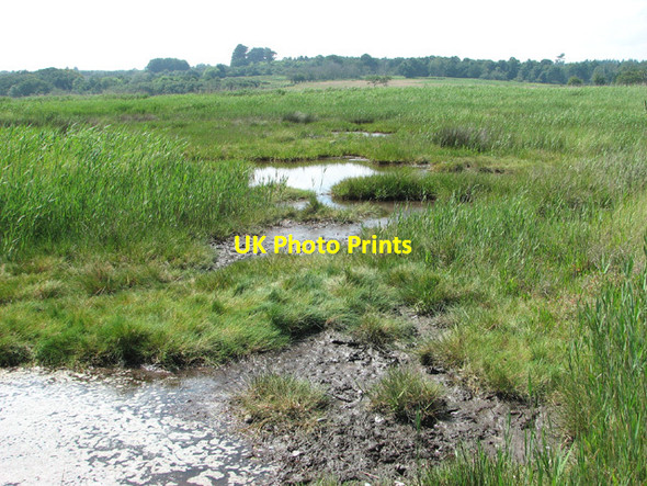 Photo 6"x4" Marshes beside Dunwich river Dunwich c2012