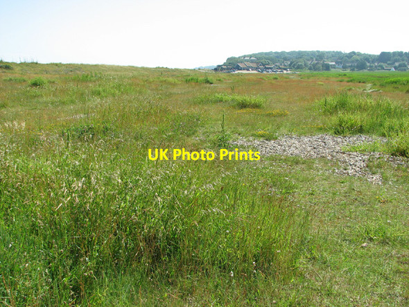 Photo 6"x4" Shingle beach adjoining marshland Dunwich c2012