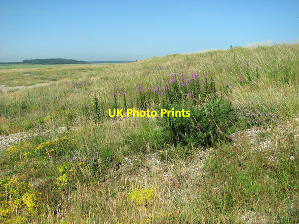 Photo 6"x4" View along the shingle wall Dunwich c2012